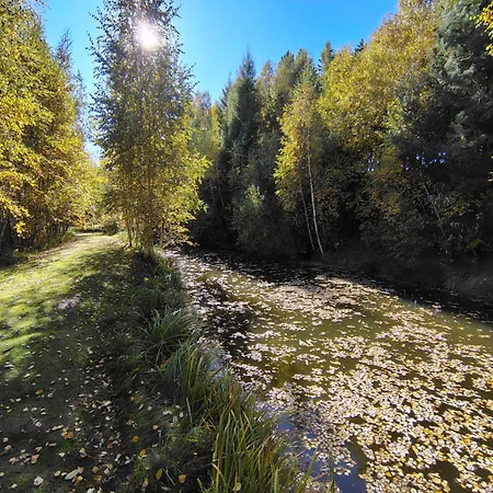 Kolorowe Wzgorze Zagorze *