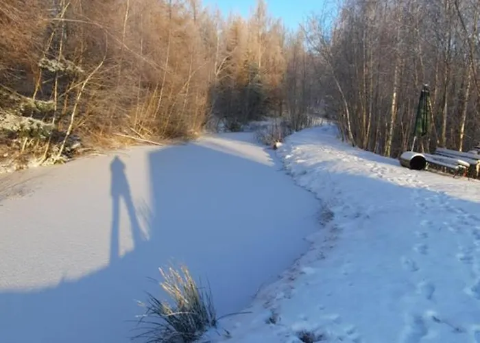 Kolorowe Wzgorze Zagorze * Zagórze Śląskie