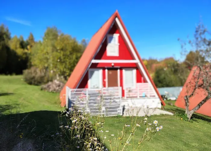 Kolorowe Wzgorze Zagorze Chalet *