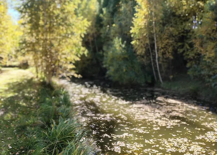 شاليه Kolorowe Wzgorze Zagorze Zagórze Śląskie