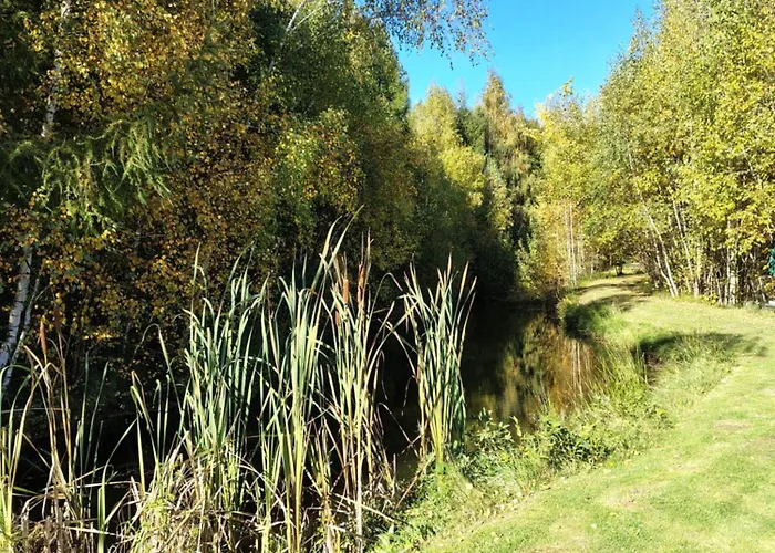 Kolorowe Wzgorze Zagorze Zagorze Slaskie