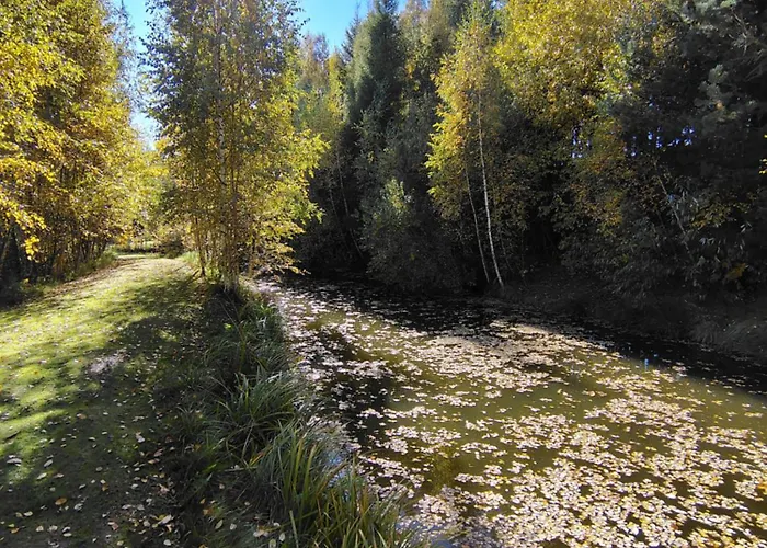 Kolorowe Wzgorze Zagorze *