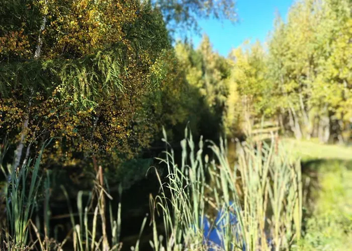 شاليه Kolorowe Wzgorze Zagorze *