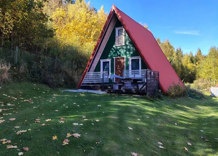 Kolorowe Wzgorze Zagorze