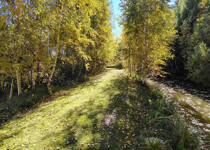 Kolorowe Wzgorze Zagorze شاليه Zagórze Śląskie