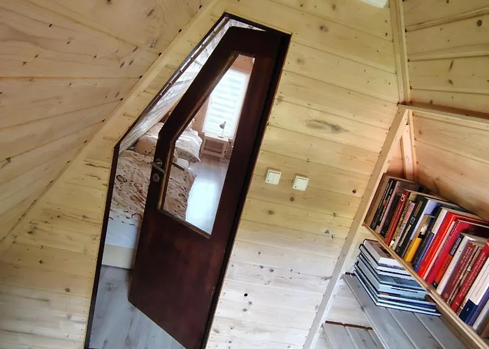 Kolorowe Wzgorze Zagorze *