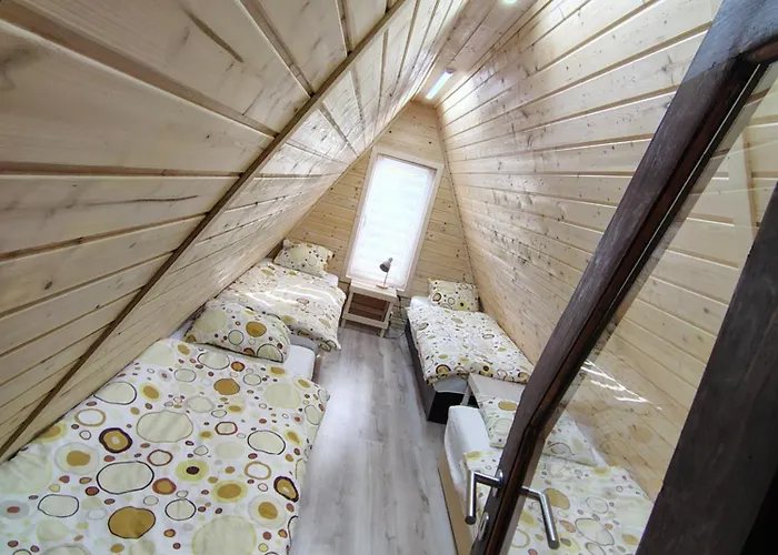 Kolorowe Wzgorze Zagorze *